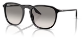 Ray-Ban RB2203