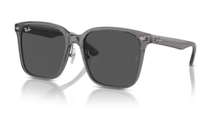 Ray-Ban RB2206D