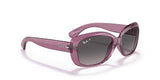 Ray-Ban RB4101